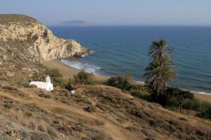 Informations about Anafi Informations about Anafi